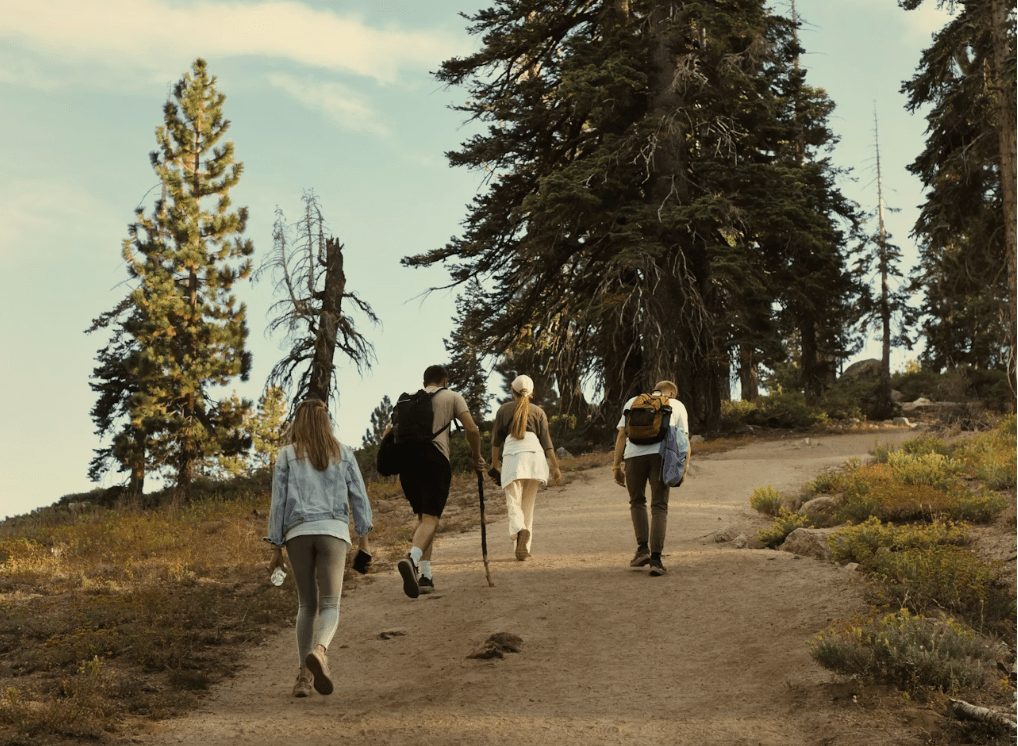 Will I Ever Have Fun Again? Navigating Social Life in BC&nbsp;Recovery